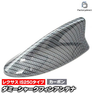 sf-5138-cb Lexus NTX IS250^Cv (J[{ubN) _~[V[NtBAei (Aei V[NtB V[NAei _~[Aei ʃe[vt ȒPt  GNXeA 