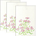 楽天市場 はがき 花きららはがき F A Greetings