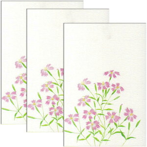 絵葉書 ポストカード 花の人気商品 通販 価格比較 価格 Com
