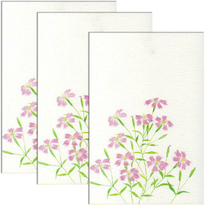 楽天市場 はがき ポストカード 絵葉書 かわら撫子 春 新作 花 和風 季節 なでしこ 花きらら Fps 732 カワラナデシコ ３枚入り イラスト 葉書 和紙 挨拶状 お礼 御礼状 ハガキ 入学 秋の七草 転任 引っ越し 四季 出産 結婚 内祝い 退職 転勤 事務所移転はがき 福井朝日