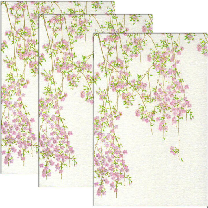 楽天市場 はがき ポストカード 絵葉書 桜 春 新作 花 和風 季節 枝垂れ桜 花きらら Fps 733 桜 さくら ３枚入り イラスト 葉書 和紙 挨拶状 お礼 御礼状 ハガキ 入学 新学期 新年度 転任 引っ越し 四季 出産 結婚 内祝い 退職 転勤 事務所移転はがき 福井朝日堂