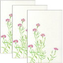 楽天市場 はがき 花きららはがき F A Greetings