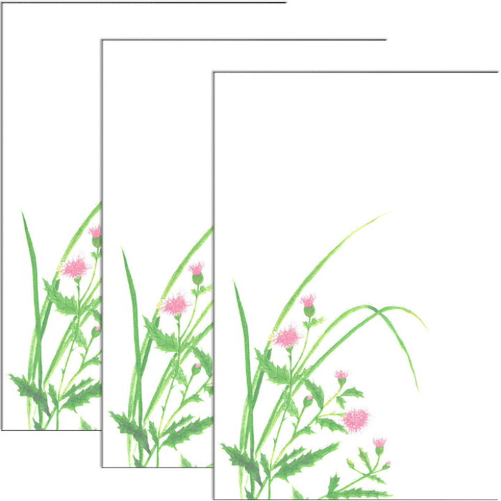 楽天市場 はがき ポストカード 絵葉書 あざみ 薊 21年 春 新作 花 和風 季節 春 夏 秋 花きらら Fps 736 あざみ 薊 ３枚入り イラスト 葉書 和紙 挨拶状 お礼 御礼状 ハガキ 入学 秋の七草 転任 引っ越し 四季 出産 結婚 内祝い