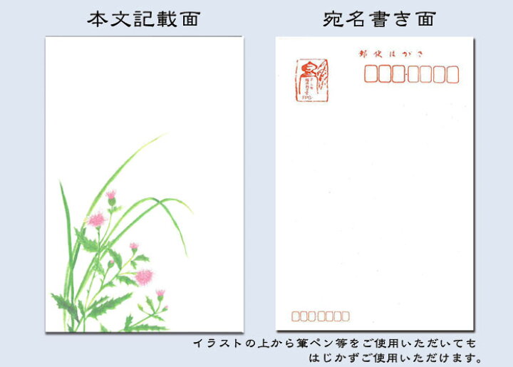 楽天市場 はがき ポストカード 絵葉書 あざみ 薊 春 新作 花 和風 季節 春 夏 秋 花きらら Fps 736 あざみ 薊 ３枚入り イラスト 葉書 和紙 挨拶状 お礼 御礼状 ハガキ 入学 秋の七草 転任 引っ越し 四季 出産 結婚 内祝い 退職