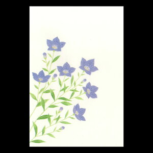 �͂��� ���������� �c�������� ������ ���� �a�� ���� �a�� �� �y�Ԃ���� FPS-722 �j�[�i�����傤�j3������z���A�� �n�K�L �l�G �� �o�Y ���� ���j�� ����� ���䒩���� ���s