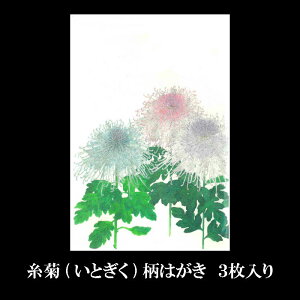 はがき お礼状 グリーティングカードの通販 価格比較 価格 Com