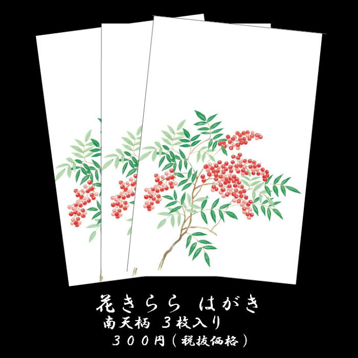 楽天市場 年賀状 寒中見舞い はがき 冬 絵葉書 ポストカード イラスト 無料 和風 花きらら Fps 708 南天 なんてん 3枚入り 年賀状 返事 返礼 御礼状 出産 結婚 内祝い お礼状 挨拶状 ハガキ 四季 花 福井朝日堂 京都 F A Greetings