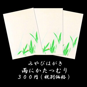 ͂ t a V ~J  J 嗋(ނ)J^c Gt |XgJ[h CXg  ay݂т͂125 嗋(ނ) 3z w V Vw VNx ]C 