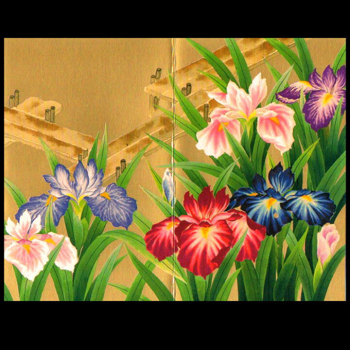 楽天市場 グリーティングカード メッセージカード クリスマスカード バースデーカード ウェディングカード 菖蒲 八つ橋 あやめ 杜若 かきつばた 春 五月 端午の節句 和風 カード Fgk 2 和紙 封筒 誕生日 結婚 挨拶 多目的 イラスト ポストカード 福井朝日堂 京都 母