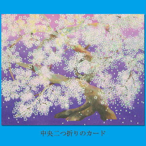 NX}XJ[h j[C[J[h t  o^C bZ[WJ[h NX}XJ[h ayF25-847z O[eBOJ[h ړI bZ[WJ[h ~ a 䒩 