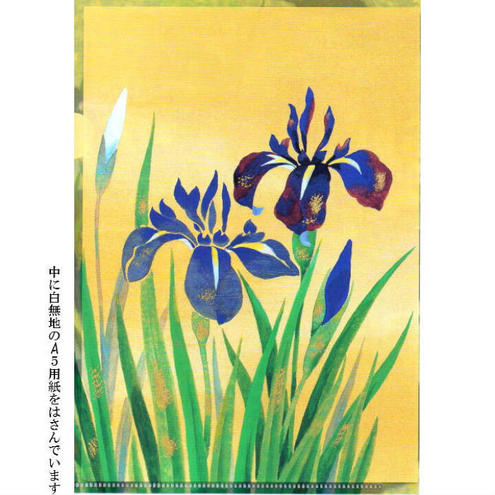 楽天市場 クリアファイル クリアフォルダー A5 和風 クリア おしゃれ 収納しやすい サイズ 菖蒲 あやめ しょうぶ 5月 初夏 端午の節句 ファイル クリアケース 振込用紙 ケース 海外 母の日 父の日 絵葉書 ポストカード クリスマスカード グリーティングカード 福井朝日堂