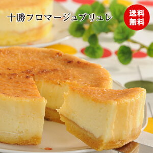 ylz yzkC \t}[Wu XC[c mَq HiMtg 蕨 l HiMtg