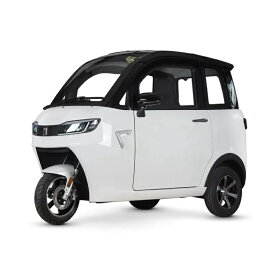 【受注製造納期3か月】AONEWトライク トゥクトゥク 電動ミニカー EV TUKTUK 走行100km超 時速60km/h 高出力 リチウムイオン 公道走行可能 屋根付き マイクロカー 超小型モビリティー 老人 高齢者 移動 色：於オーダー色