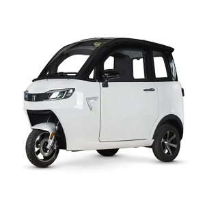 y󒍐[3zAONEWgCN gDNgDN d~jJ[ EV TUKTUK s100km 60km/h o `ECI s\ t }CNJ[ ^reB[ Vl  