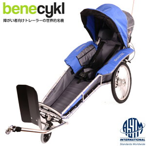 y񂹁zxlTCNg[[E}bNXbenecykle-max K10Έȏ g180cm炢Eύ75kg AEghAE]ԗsE}\EgCAXE`FRXoLAYE