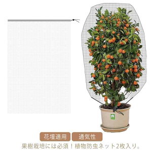 防虫シート 防虫網 花壇適用 苗 防虫ネット 畑 ハウス 防鳥ネット 虫鳥除け網 通気性 2個セット 園芸用 園芸 菜園 虫よけネット 農業用 野菜 植物保護カバー 虫よけネット 野菜栽培 野菜作り