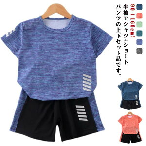 V[gpc w LbY ㉺Zbg  X|[cEFA q  X|[c Y{ 2_Zbg j̎q ̎q ^ 90  킢  ct ۈ牀 c WjA z