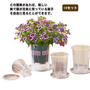 10ZbgIgCt Ӓ̐Aؔ c|bg a10cm a12cm a14cm a16cm Aؔ I[Lbh|bg ȗ̔ t  ƃ\[T[t rt I[Lbhv^