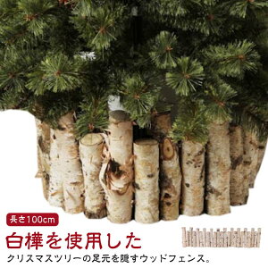 NX}Xc[ NX}Xc[ ۑ 25{A NX}Xc[ 100cm ډB  x[XJo[ EbhtFX B c[ t B i` zCg c[XJ[g k