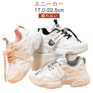 Xj[J[ X|[cC  ^C Xj[J[ _X LbY  Xj[J[ fB[X _XV[Y Xj[J[ b ̎q jOV[Y qC L _XC `A_Xl _b