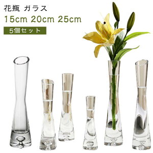 北欧 おしゃれ 【5個セット】 ガラス リビング 一輪挿し 透明 生花 15cm 窓辺 25cm 水栽培 フラワーベース インテリア 雑貨 新生活 20cm 寝室 玄関 書斎 花器 食卓 花びん 円柱 【5個セット】 造花