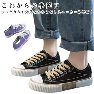 Xb| ƂȂV[Y fB[X ₷ Xj[J[ ƂȂ t   [Jbg LoX fB[X y ɂ 