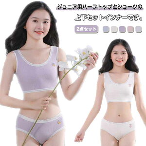 WjA ̎q Zbg ㉺Zbg uW[ l V[c uW[ ㉺Zbg LbY X|[cu  pc A_[EFA WjAu Ci[ w w X|u 