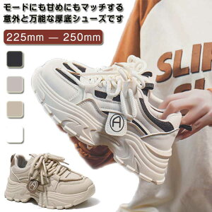 Xj[J[  _bhXj[J[ C EH[LOV[Y Xj[J[ _bh V[Y fB[X ʊwC  r Ȃ ʋ 킢 t g5cmAbv