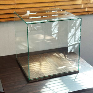 KXP[X ؐ Ԃ RNVP[X fBXvCP[X W32cm×D32cm×H32cm tFA[h KX荇킹 KX5~ l`P[X tBMAP[X t[P[X X