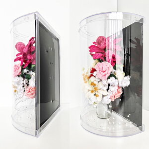 u[PP[X  LXP[hu[PP[X EFfBOu[PP[X uC_u[PP[X W25cm D15cm H65cm t[P[X ^  vX`bNP[X NA  wʍ 1Zbg 