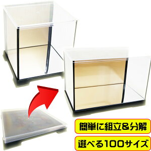 wʋ ʃ~[ l`P[X tBMAP[X RNVP[X  fBXvC l` ܌l` ؖڍ u[PP[X t[  W 21cm×s21cm×60cm tFA[h