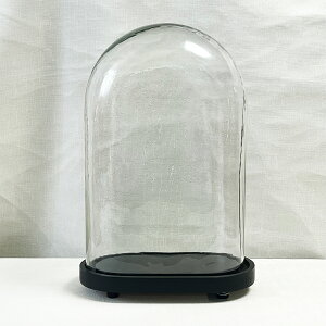 KXh[ fBXvCh[ KXP[X I[oh[ RNVP[X AeB[N ؐ  NAKX X܏Y W290mm×D180mm×H440mm KXTCY W255mm×D135mm×H400mm