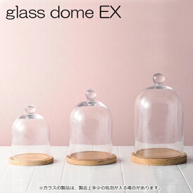 ガラスドーム グラスドーム ドームグラス ディスプレイドーム glassdome EXS