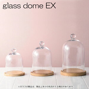 KXh[ fBXvCh[ glassdome EXL