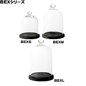 KXh[ OXh[ h[OX fBXvCh[ glassdome BEXM