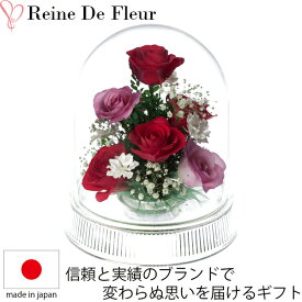 ドライフラワー ボトルフラワー レンデフロール I-F 花ギフト 花束 お祝い プレゼント 記念品 生花 インテリア