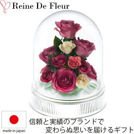 レンデフロール バラ ドライフラワー ボトルフラワー IA 花ギフト 花束 お祝い プレゼント 記念品 生花 インテリア