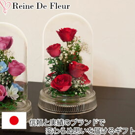 楽天市場 トルコキキョウ ドライフラワー 花 観葉植物 花 ガーデン Diyの通販