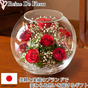 ft[ o ݑ hCt[ {gt[ Y B-N  W237×H210mm ԃMtg ԑ j v[g LOi  CeA