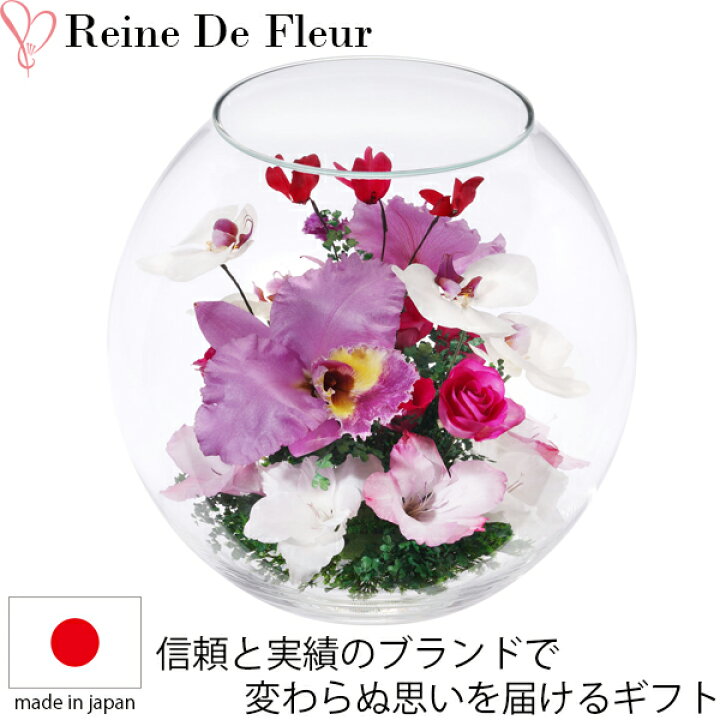 楽天市場】レンデフロール カトレア 胡蝶蘭 シクラメン グラジオス 