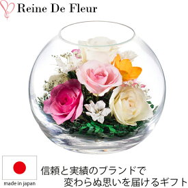 楽天市場 トルコキキョウ ドライフラワー 花 観葉植物 花 ガーデン Diyの通販