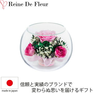 �h���C�t�����[ �{�g���t�����[ �����f�t���[�� S-C W116×H92mm �V�z�j�� �J�Əj�� �ԃM�t�g ��̓� ��N�j��