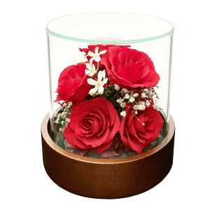 ft[ o }[uzCg ݑ hCt[ {gt[ ST-C  ԃMtg ԑ j v[g LOi  CeA@W135×H135mm ix[X܂ށj