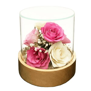 ft[ o ݑ hCt[ {gt[ ST-D  ԃMtg ԑ j v[g LOi  CeA W135×H135mm ix[X܂ށj