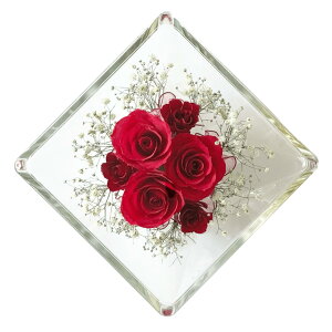 ft[ o ݑ hCt[ {gt[ XA-D  W135×H135mm ԃMtg ԑ j v[g LOi  CeA