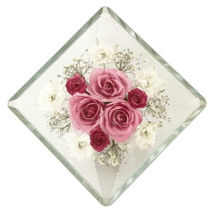 ft[ o ~jo ǂ葐 ݑ hCt[ {gt[ XA-H  W135×H135mm ԃMtg ԑ j v[g LOi  CeA