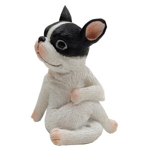 CeAG Aj}u YOGAAj} S11iԂ nlY~ Ђ   JG L jK|[Y 킢}XRbg IuWF t`uhbO v[h