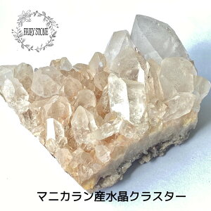 p[Xg[ VR NX^[  }jJY  399O  CeA  IuWF G Mtg v[g j  nhCh ^C K^ Y fB[X yz