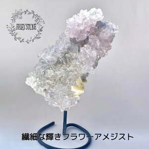 �y�|�C���g10�{�z �p���[�X�g�[�� �V�R�� �N���X�^�[ ���� �t�����[�A���W�X�g �����オ��^�C�v 294�O���� �� �C���e���A ���� �I�u�W�F �G�� �M�t�g �v���[���g �j�� ���� �n���h���C�h 