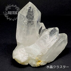 p[Xg[ VR NX^[  Y  148O  CeA  IuWF G Mtg v[g j  nhCh ^C K^ Y fB[X